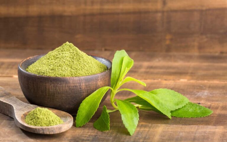 Stevia planta